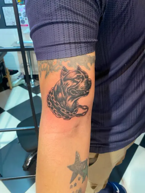 Pitbull portrait with chain tattoo on the elbow, by Chad Solomon
