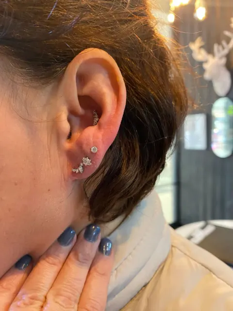 Curated ear with conch and stacked lobe studs, by Chandre Louw
