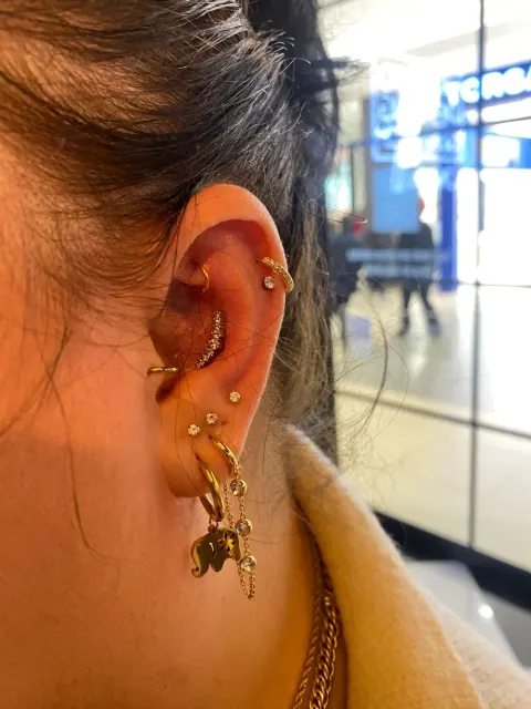 Curated ear with gold helix, conch and stacked lobe jewellery, by Chandre Louw