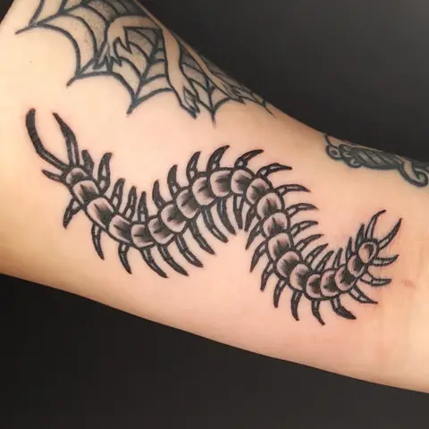 Centipede tattoo on the forearm, by Kayla Grimwood