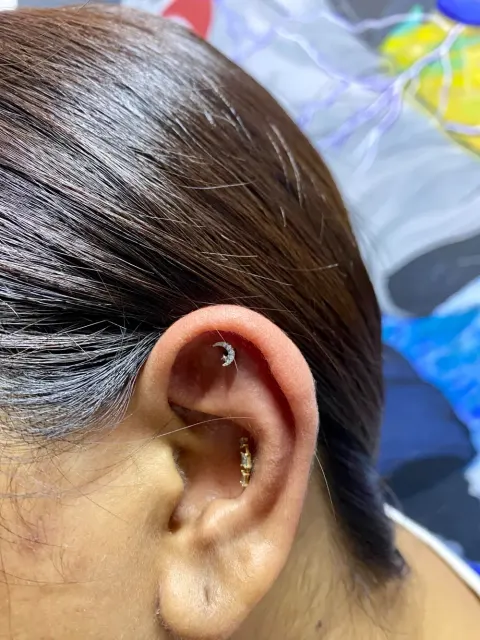 Crescent moon flat piercing with a gold conch stud, by Kelsey Messiah