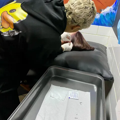 Kelsey Messiah piercing an ear beside a tray of sterile, ready jewellery